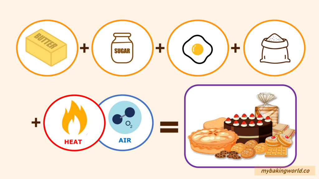 The Components in Baking