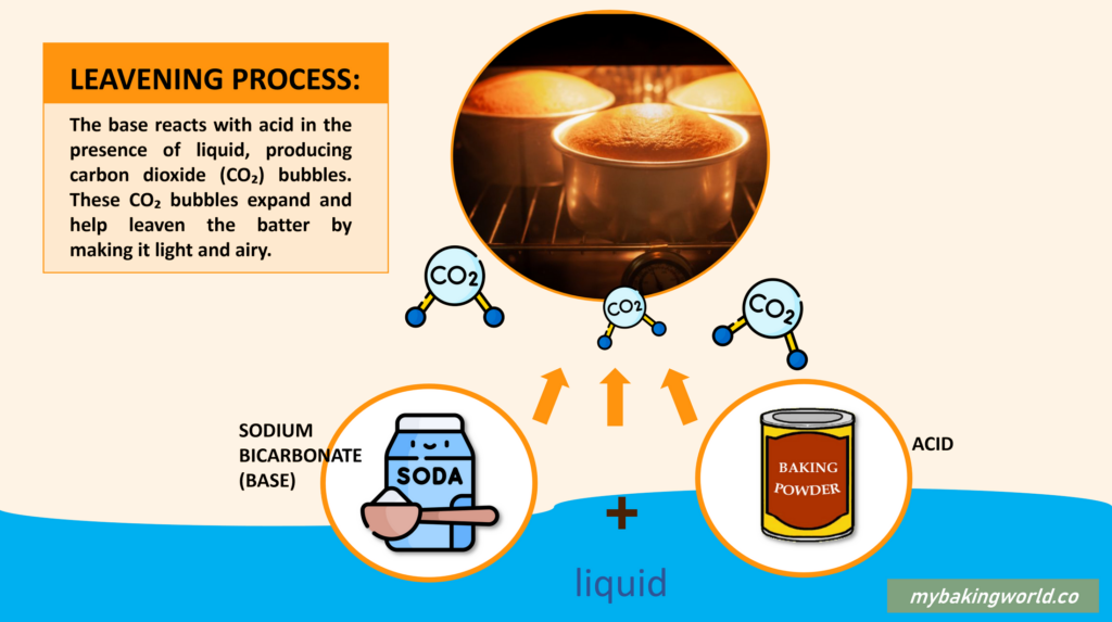 Leavening Process